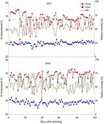 Water Use, Leaf Cooling and Carbon Assimilation Efficiency of Heat Resistant Common Beans Evaluated in Western Amazonia